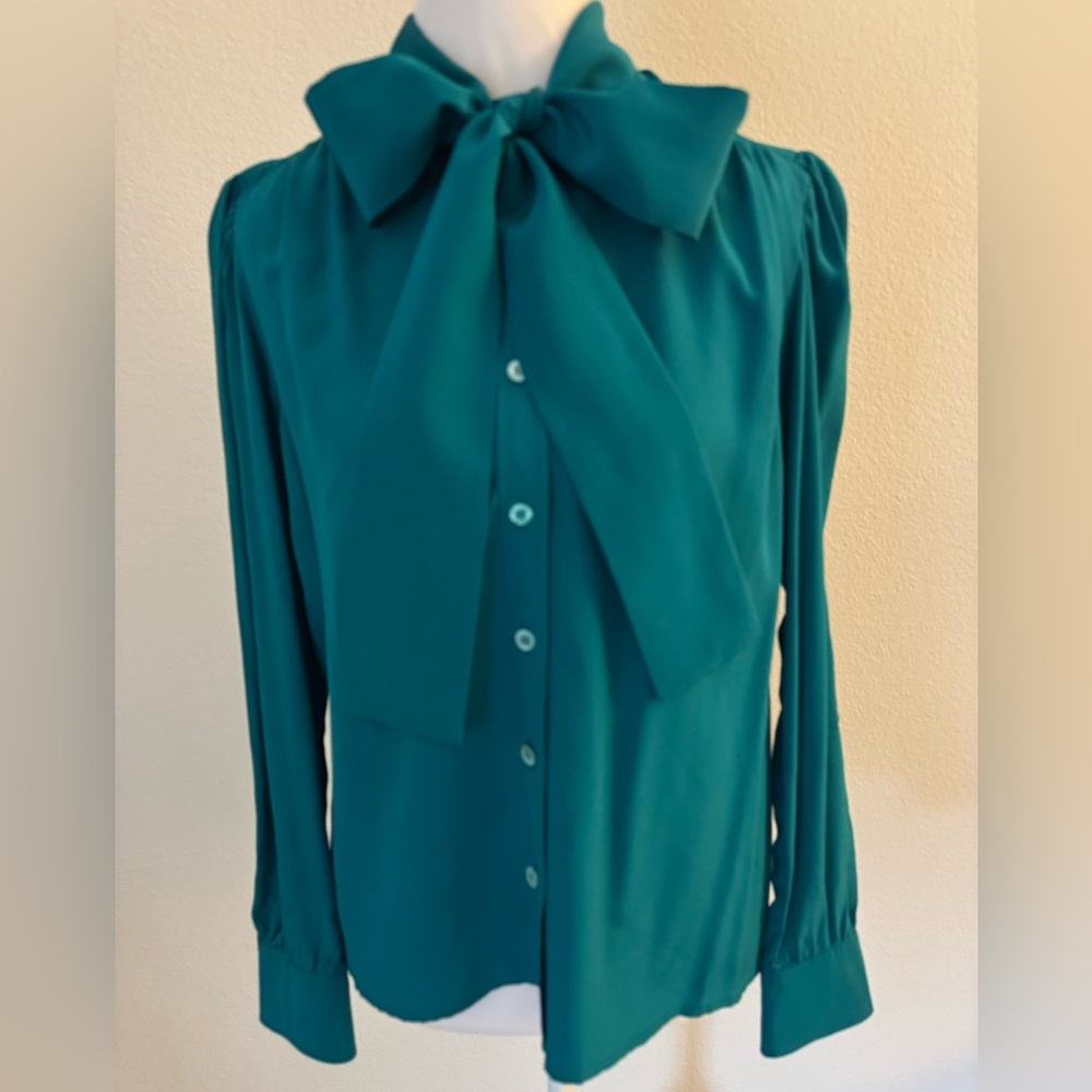 Gorgeous Silk Blouse with Bow Detail